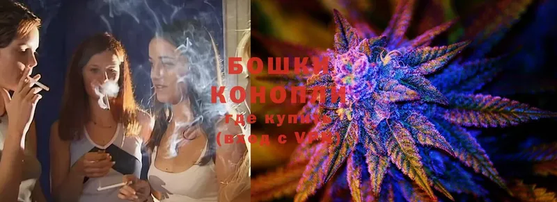 Конопля планчик  блэк спрут вход  Воронеж  купить закладку 